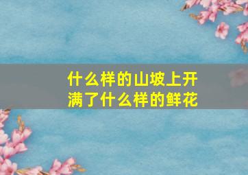 什么样的山坡上开满了什么样的鲜花