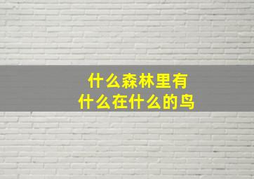 什么森林里有什么在什么的鸟