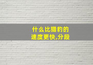 什么比猎豹的速度更快,分段