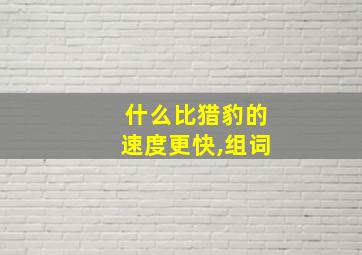 什么比猎豹的速度更快,组词