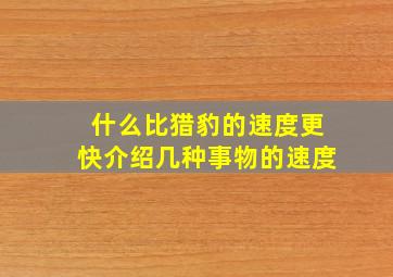 什么比猎豹的速度更快介绍几种事物的速度