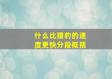 什么比猎豹的速度更快分段概括