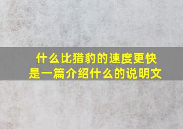 什么比猎豹的速度更快是一篇介绍什么的说明文