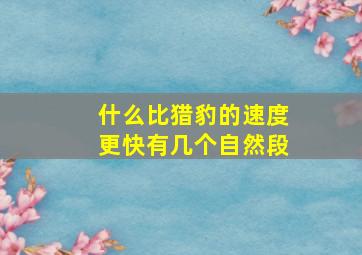 什么比猎豹的速度更快有几个自然段