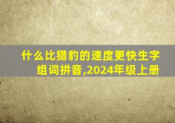 什么比猎豹的速度更快生字组词拼音,2024年级上册