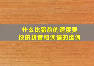 什么比猎豹的速度更快的拼音和词语的组词