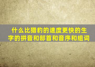 什么比猎豹的速度更快的生字的拼音和部首和音序和组词