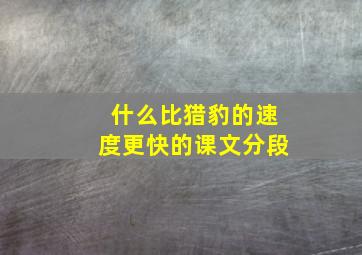 什么比猎豹的速度更快的课文分段