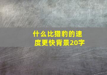 什么比猎豹的速度更快背景20字