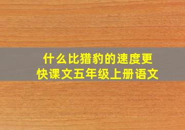 什么比猎豹的速度更快课文五年级上册语文