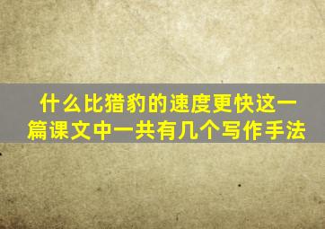 什么比猎豹的速度更快这一篇课文中一共有几个写作手法