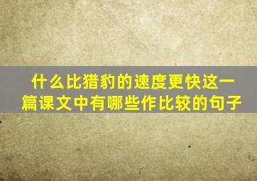 什么比猎豹的速度更快这一篇课文中有哪些作比较的句子