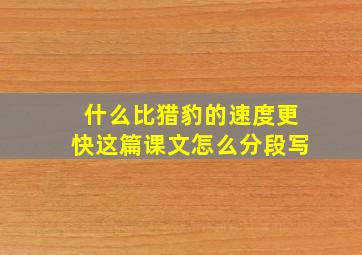 什么比猎豹的速度更快这篇课文怎么分段写