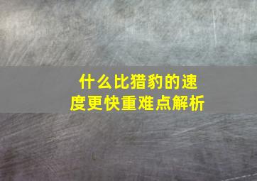 什么比猎豹的速度更快重难点解析