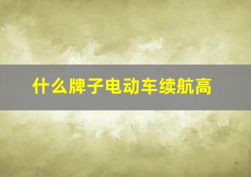 什么牌子电动车续航高