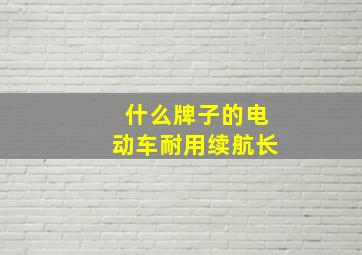 什么牌子的电动车耐用续航长