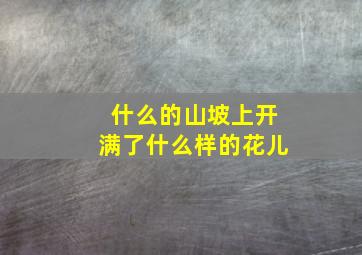 什么的山坡上开满了什么样的花儿