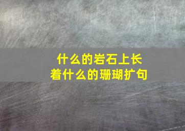 什么的岩石上长着什么的珊瑚扩句