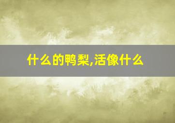 什么的鸭梨,活像什么