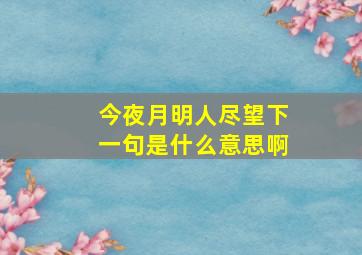 今夜月明人尽望下一句是什么意思啊