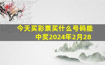 今天买彩票买什么号码能中奖2024年2月28