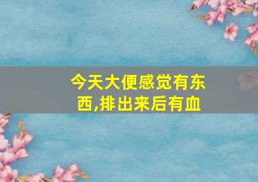 今天大便感觉有东西,排出来后有血