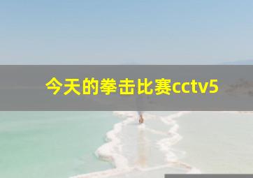 今天的拳击比赛cctv5