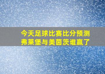 今天足球比赛比分预测弗莱堡与美茵茨谁赢了