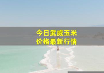 今日武威玉米价格最新行情