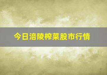 今日涪陵榨菜股市行情