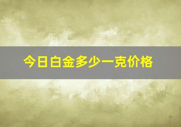 今日白金多少一克价格