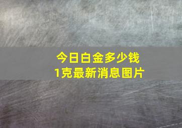 今日白金多少钱1克最新消息图片