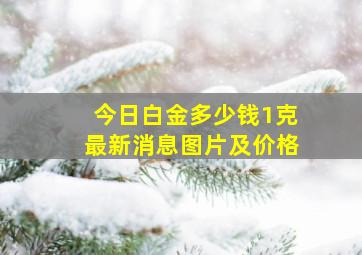 今日白金多少钱1克最新消息图片及价格