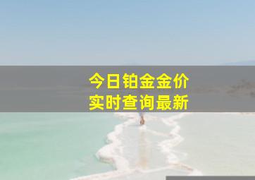 今日铂金金价实时查询最新