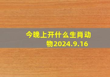 今晚上开什么生肖动物2024.9.16