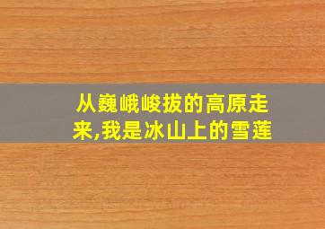 从巍峨峻拔的高原走来,我是冰山上的雪莲