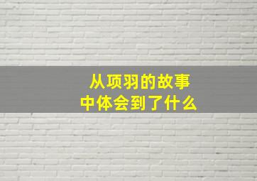 从项羽的故事中体会到了什么