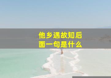 他乡遇故知后面一句是什么