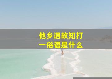 他乡遇故知打一俗语是什么