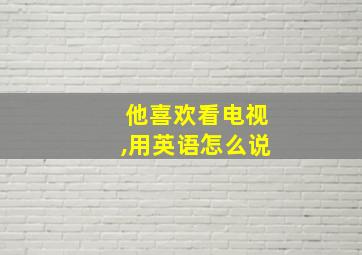 他喜欢看电视,用英语怎么说