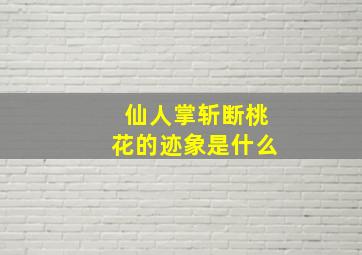 仙人掌斩断桃花的迹象是什么