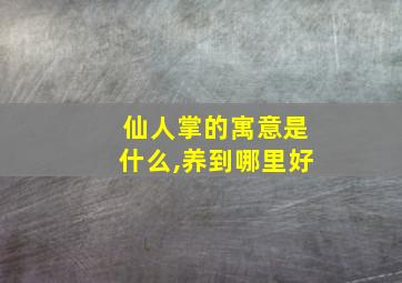 仙人掌的寓意是什么,养到哪里好