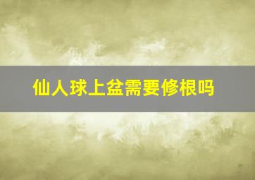 仙人球上盆需要修根吗