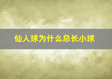 仙人球为什么总长小球