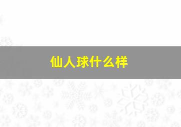 仙人球什么样