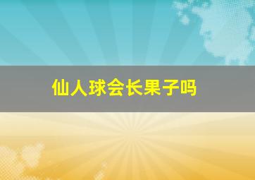 仙人球会长果子吗