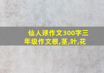 仙人球作文300字三年级作文根,茎,叶,花