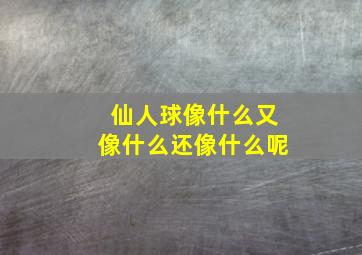 仙人球像什么又像什么还像什么呢