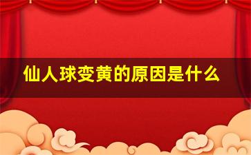 仙人球变黄的原因是什么