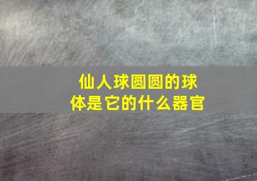 仙人球圆圆的球体是它的什么器官